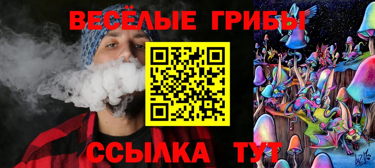 Галлюциногенные грибы мицелий Дивногорск
