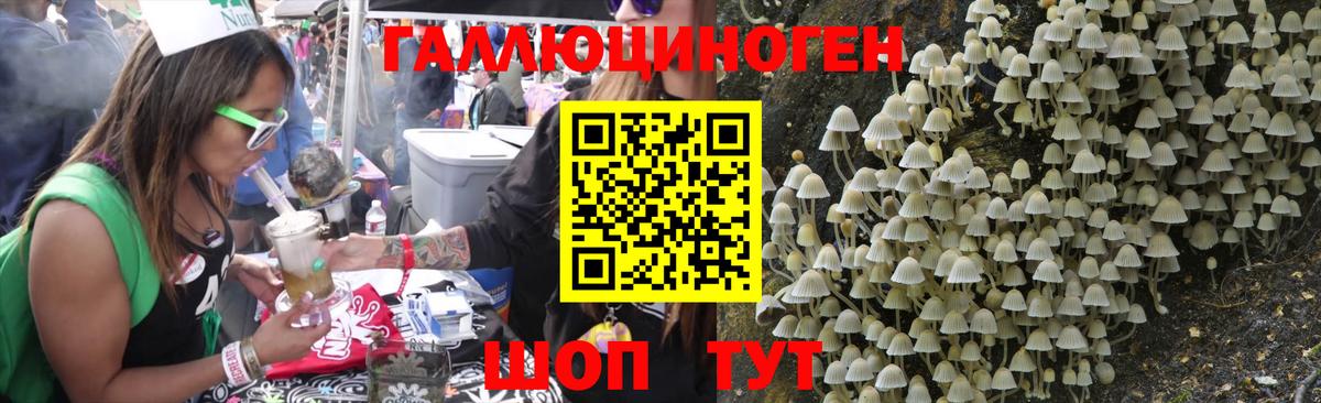 Псилоцибиновые грибы мицелий  Вход с VPN  Псилоцибиновые грибы Magic Shrooms  Дивногорск 